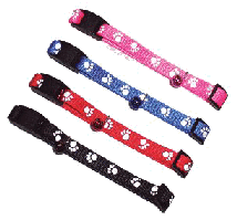 custom dog collars